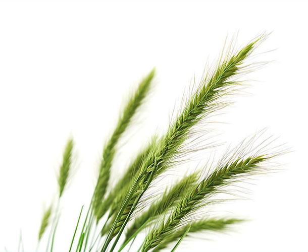 Potere natura